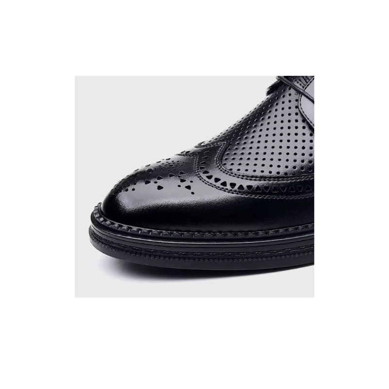 Derolin - Nette Heren Schoenen Geperforeerd Leren Wingtip Oxford met Brogue Design