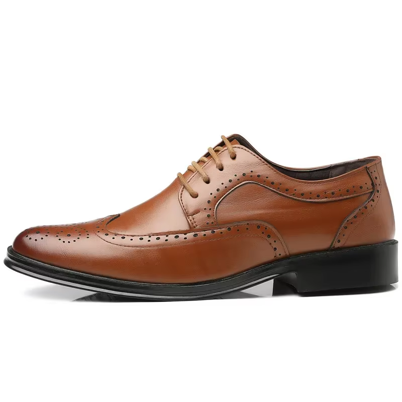 Ferlian - Nette Heren Schoenen - Klassieke Leren Brogues met Vetersluiting