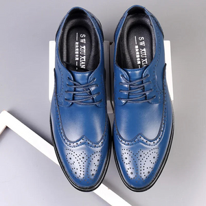 Ferlian - Nette Heren Schoenen - Klassieke Leren Brogues met Vetersluiting